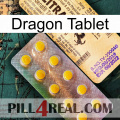 Dragon Tablet new06